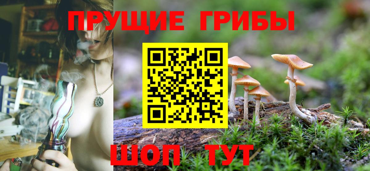 Псилоцибиновые грибы Cubensis Кимовск